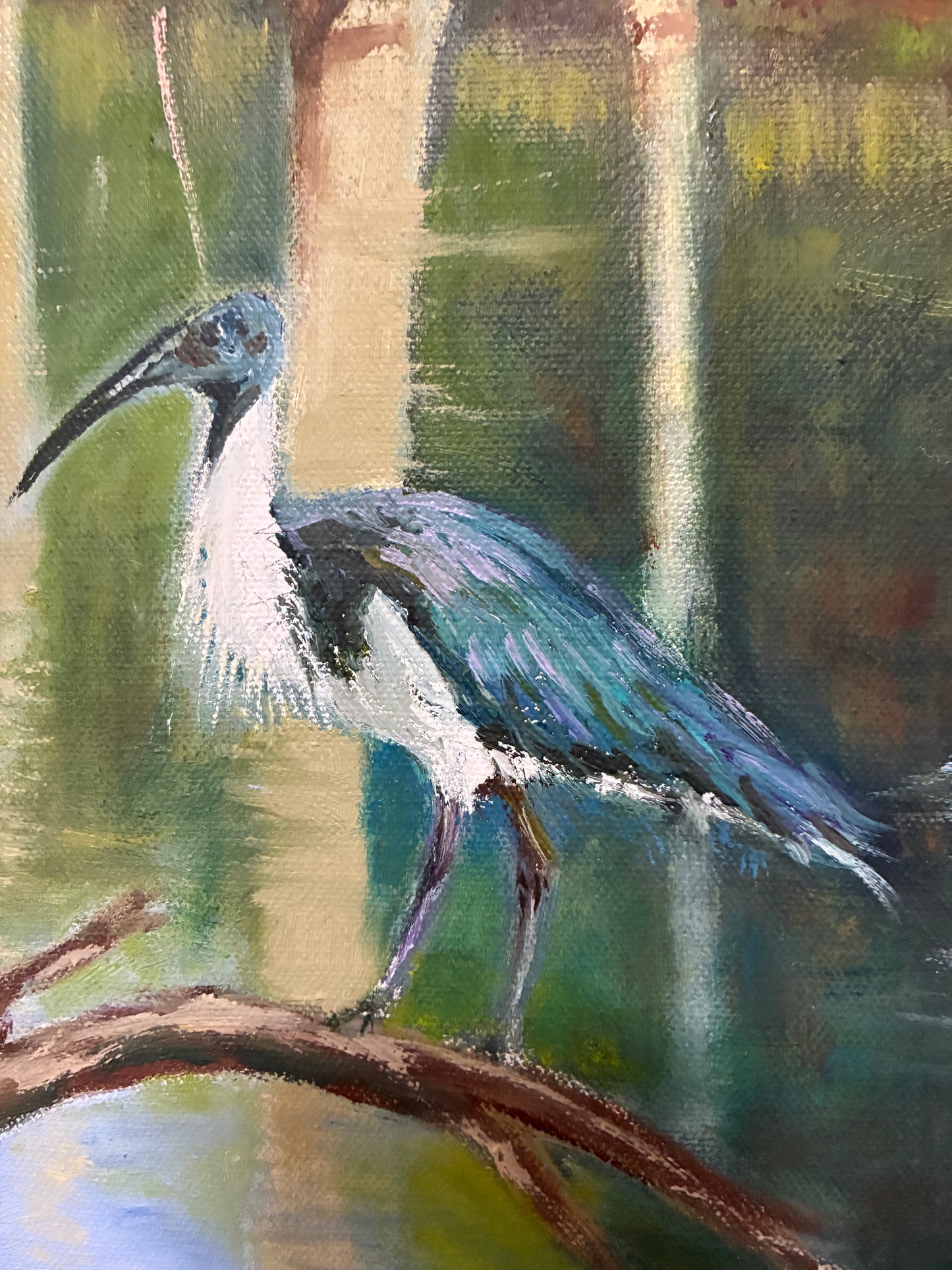 Christopher Bailey Billabong, East Ivanhoe, Victoria