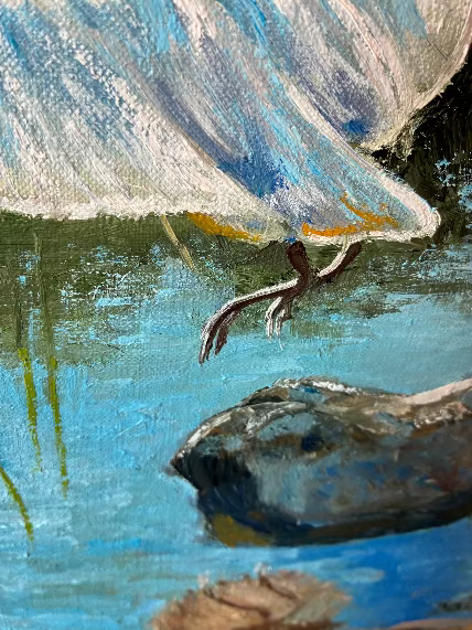 White Ibis in Flight