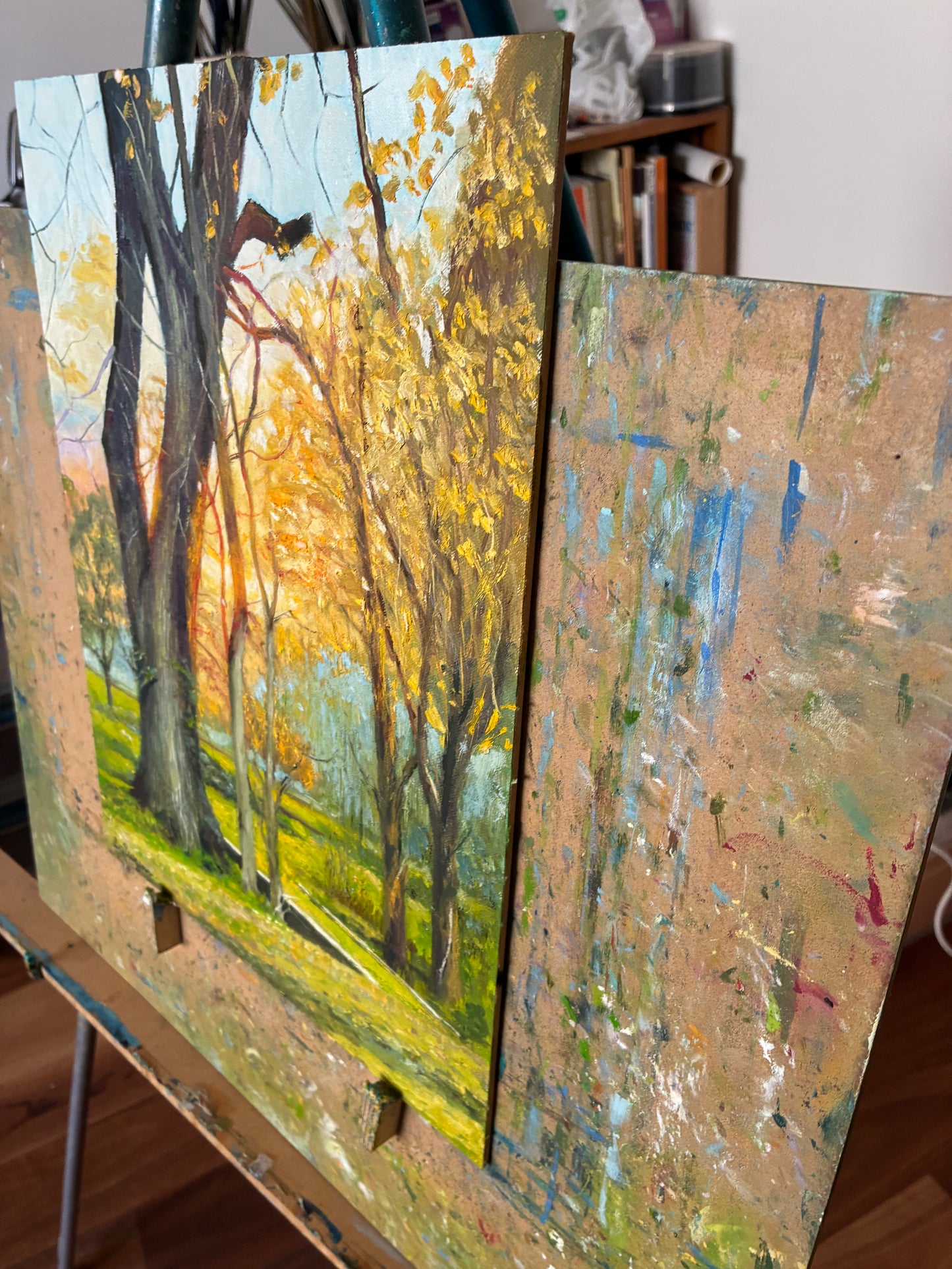 Coonawarra Sunset - Oils on canvas on hardboard, unframed - 40.6 x 30.5 x 0.5cm