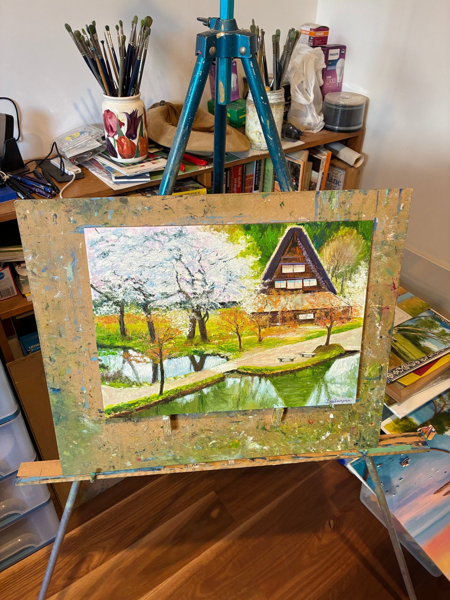 Shirakawa Cherry Blossom, Japan