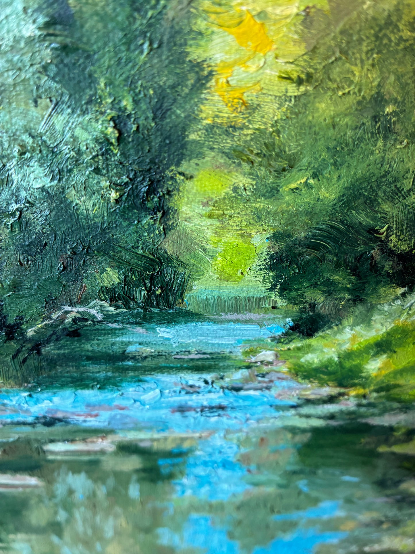 Darebin Creek Wattle