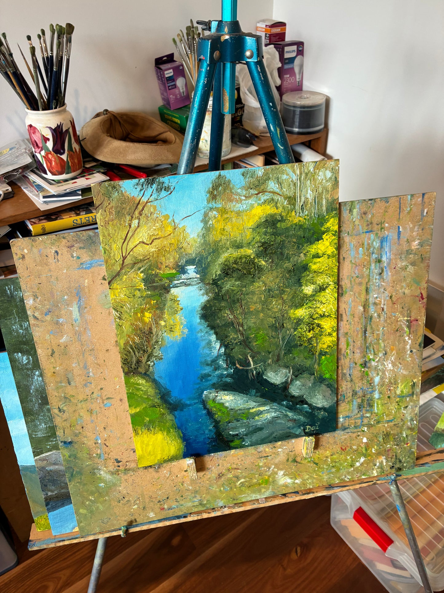 Wattle Blossom over Darebin Creek