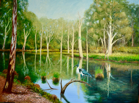 Christopher Bailey Billabong Ivanhoe East
