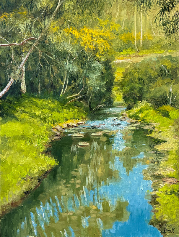 Darebin Creek Wattle