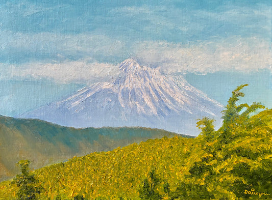 Mount Fuji from Hakone, Japan