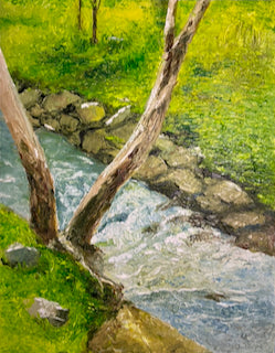 Spring Rapids on Darebin Creek