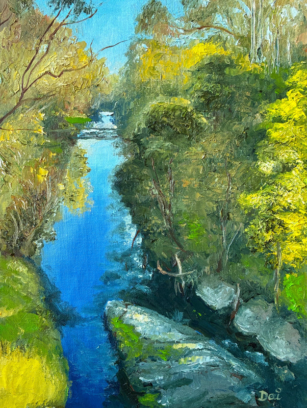 Wattle Blossom over Darebin Creek