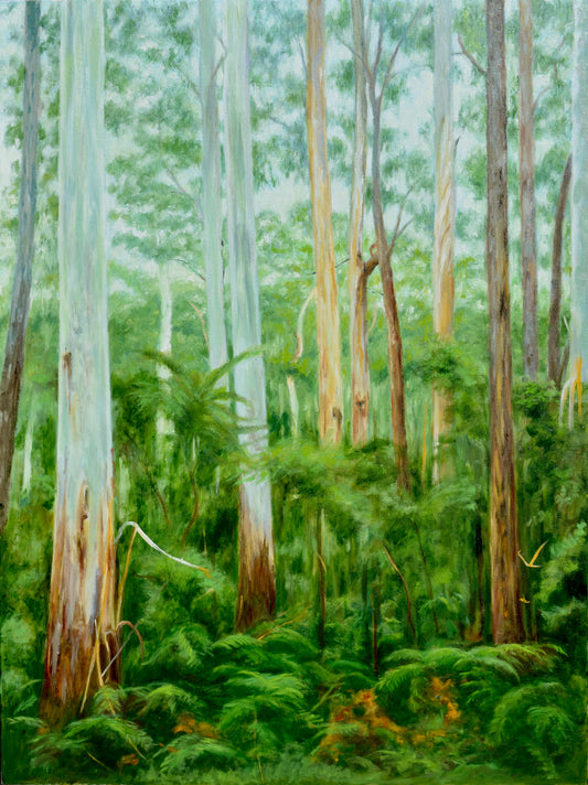 Yarra Ranges Forest