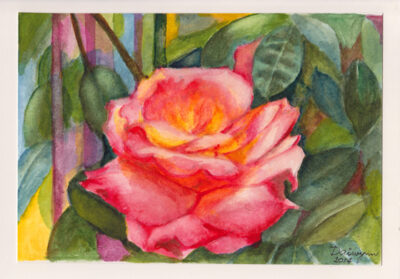 Anniversary Rose 2018