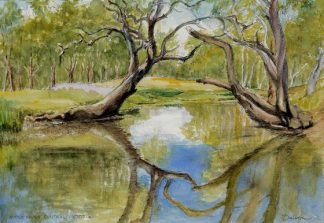 Avoca Riverbank Sentinels