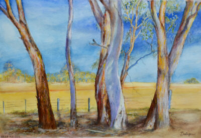 Roadside Trees Maldon