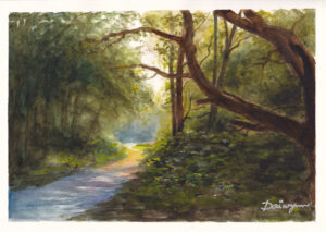 Wimbledon Common Evening, London