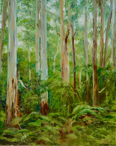 Yarra Ranges Forest