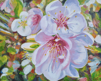 Fleurs De Pommier