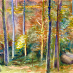 Afternoon in the Black Forest