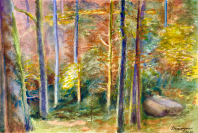 Afternoon in the Black Forest