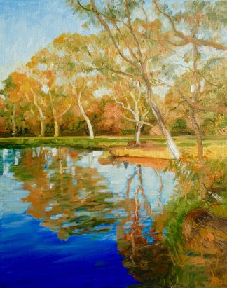 Darebin Wetlands Afternoon