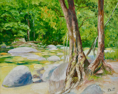 Mossman Gorge in FNQ