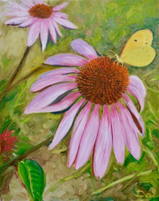 Echinacea Butterfly