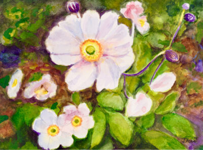 Anemones Birthday Card
