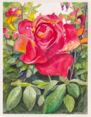 Anniversary Rose Greeting Card