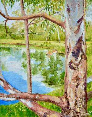 Framed Darebin Wetlands