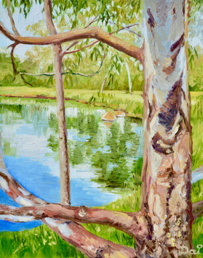 Framed Darebin Wetlands