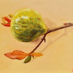 Green Pomegranate Fruit