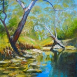 High Summer on Dandenong Creek