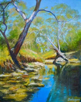 High Summer on Dandenong Creek