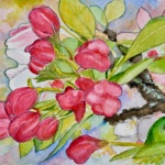 Springtime Apple Tree Blossoms