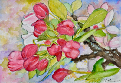 Springtime Apple Tree Blossoms