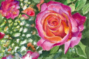 Anniversary Rose 2019