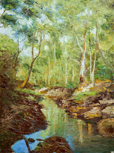 Darebin Creek Crossing Alphington