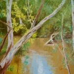 Billabong in Darebin Wetlands