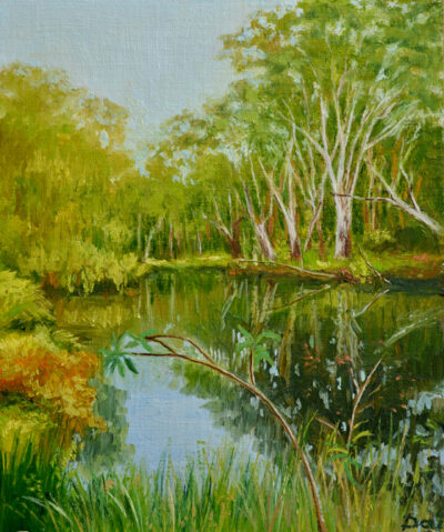 Evening on the Billabong