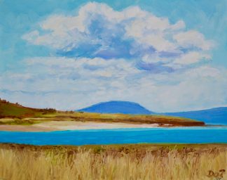 Cressy Beach Tasmania