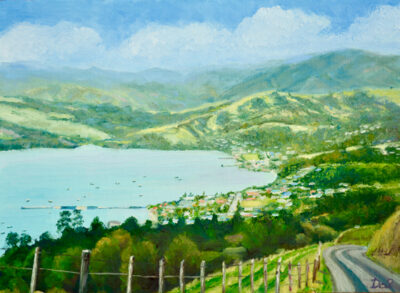 Above Akaroa Harbour NZ