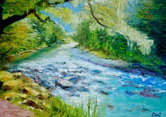 Clinton River Southland NZ