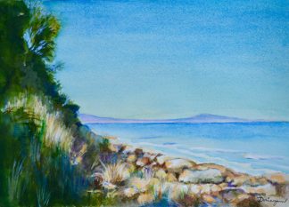 Frederick Henry Bay Tasmania