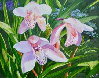 Three Pink Cymbidium Orchids