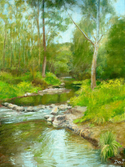 Darebin Creek Mini Rapids