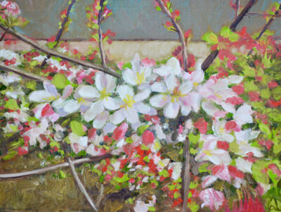 Kerbside Blossoms