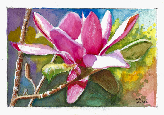 Magnolia Flower Greeting Card