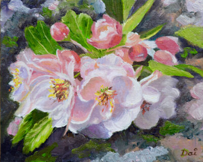Apple Blossoms Spring 2020