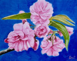 Cherry Blossoms in 2020