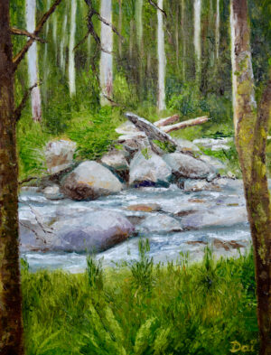 East Kiewa River Bogong