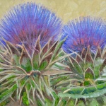 Scotch Thistle Geometry