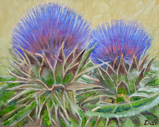 Scotch Thistle Geometry