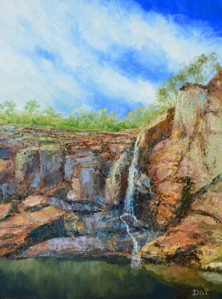 Nigretta Falls Wannon River